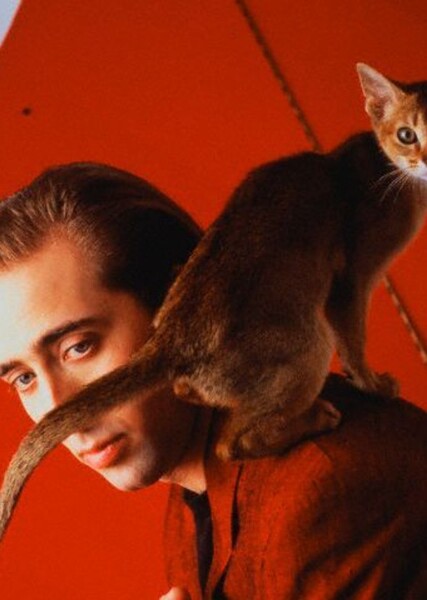 Nicolas Cage photo