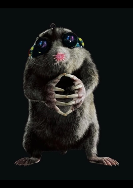Nicolas Cage photo