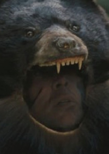 Nicolas Cage photo