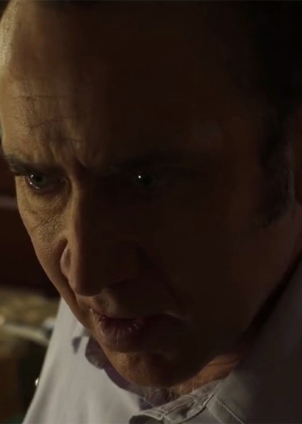 Nicolas Cage photo