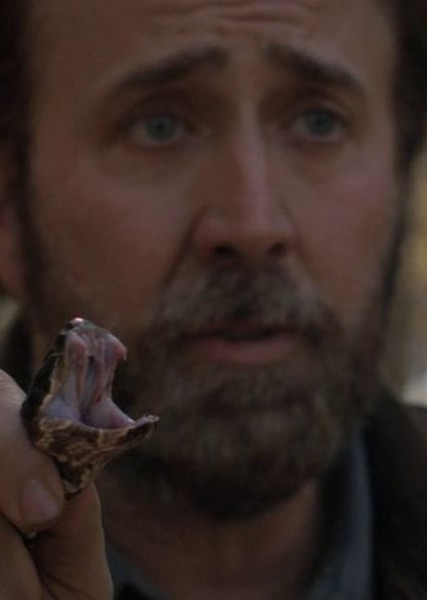 Nicolas Cage photo