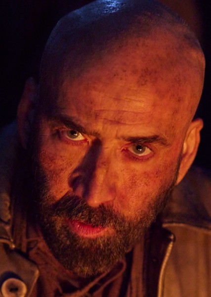Nicolas Cage photo