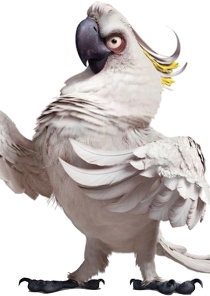 Nigel (Rio)