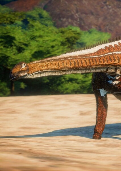 Nigersaurus photo