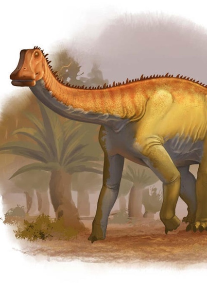 Nigersaurus photo