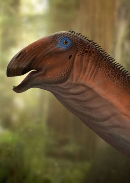 Nigersaurus photo