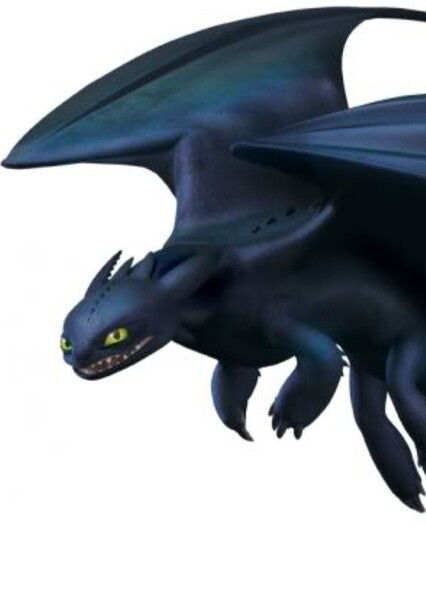 Night Fury photo