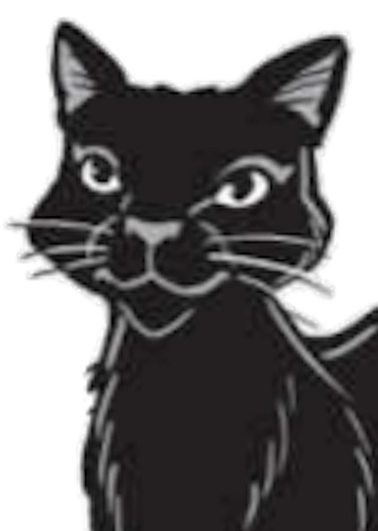 Nightcloud (Warrior Cats) photo