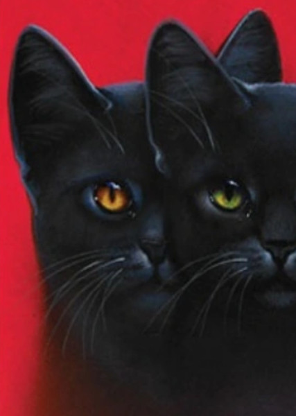 Nightcloud (Warrior Cats) photo
