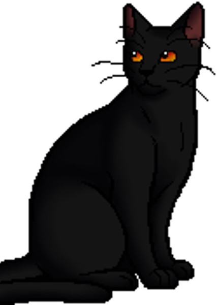 Nightcloud (Warrior Cats) photo