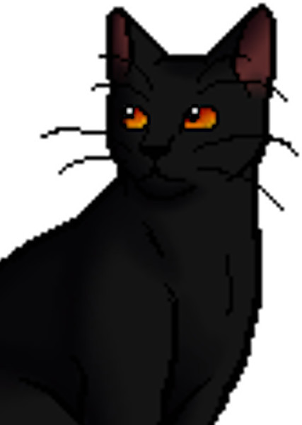 Nightcloud (Warrior Cats) photo