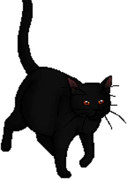 Nightcloud (Warrior Cats) photo