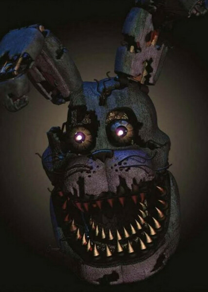 Nightmare Bonnie photo