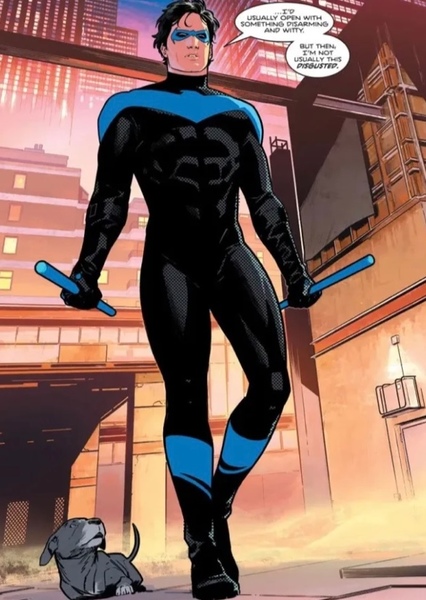 Nightwing (Dick Grayson) photo