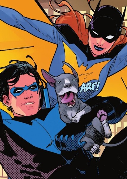 Nightwing and Batgirl