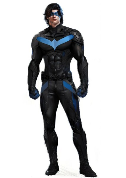Nightwing photo