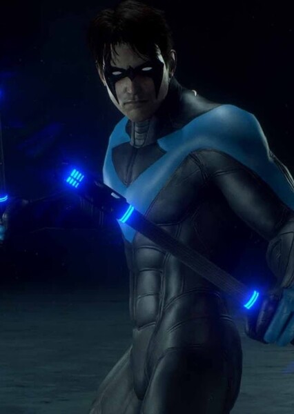 Nightwing photo