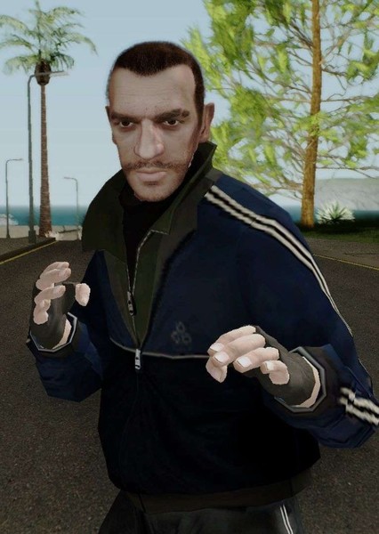 Niko Bellic photo