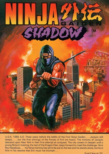 Ninja Gaiden Shadow