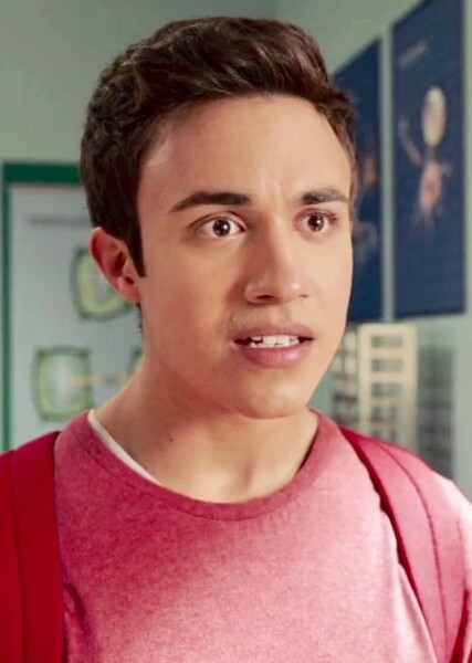 Ninja Steel Red photo