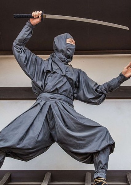 Ninjas