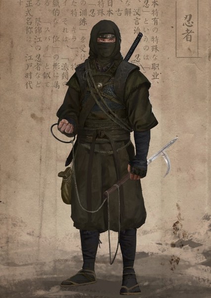 Ninjas photo
