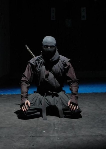 Ninjas photo