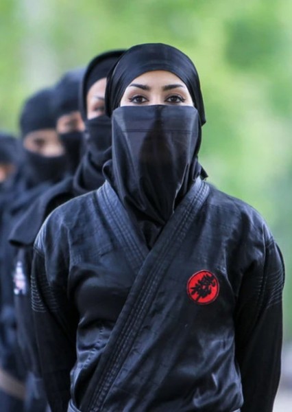 Ninjas photo