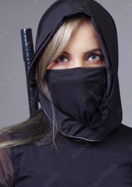 Ninjas photo