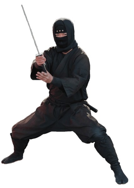 Ninjas photo