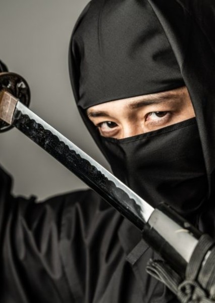 Ninjas photo