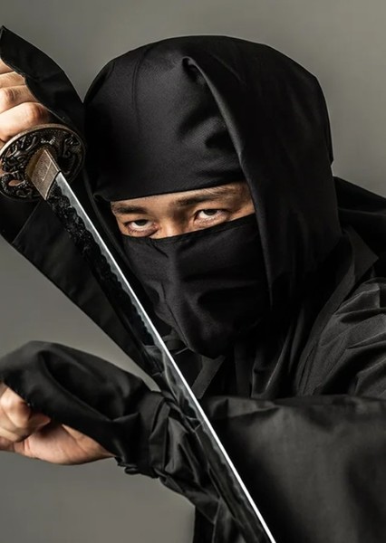 Ninjas photo