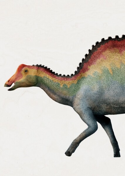 Nipponosaurus