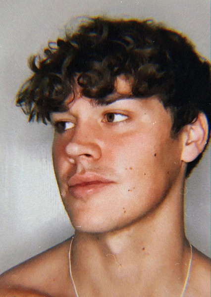 Noah Beck photo
