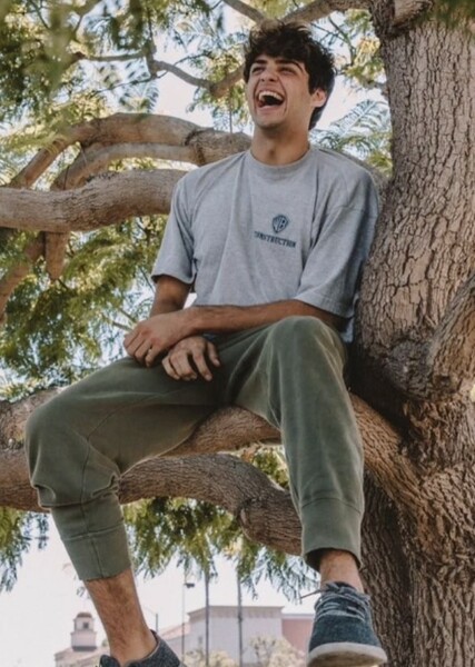 Noah Centineo photo