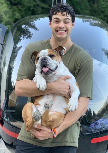 Noah Centineo photo