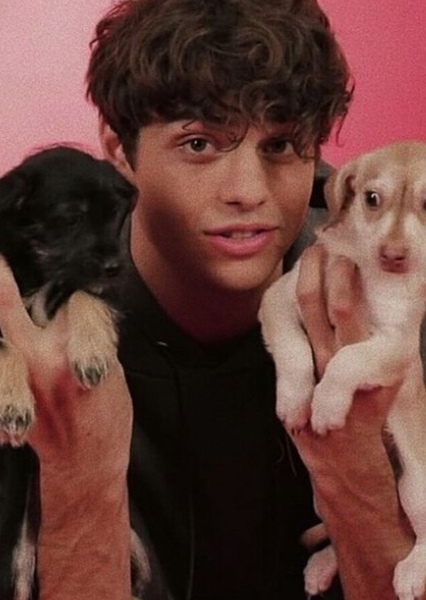Noah Centineo photo