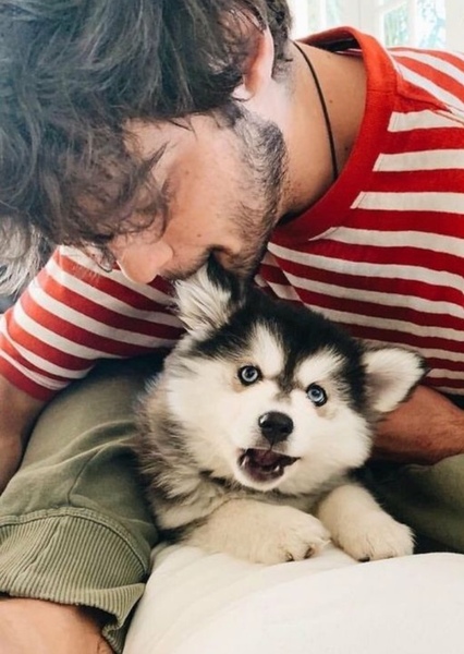 Noah Centineo photo