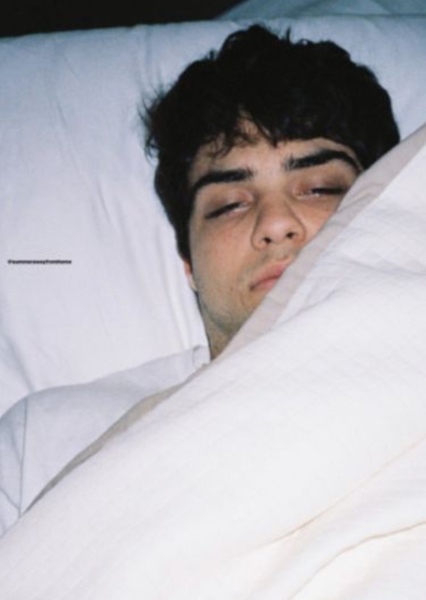 Noah Centineo photo