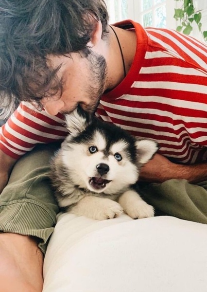 Noah Centineo photo