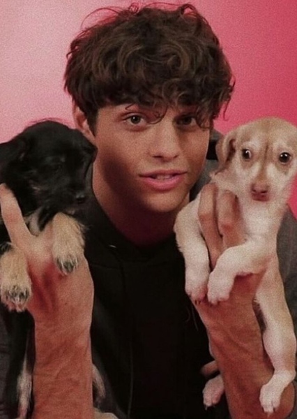 Noah Centineo photo