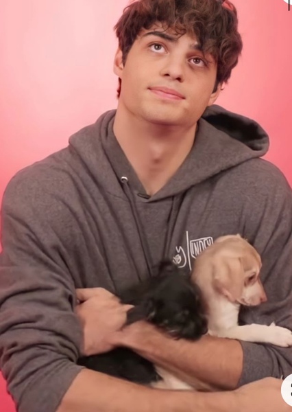 Noah Centineo photo
