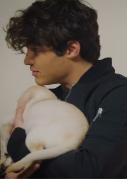 Noah Centineo photo