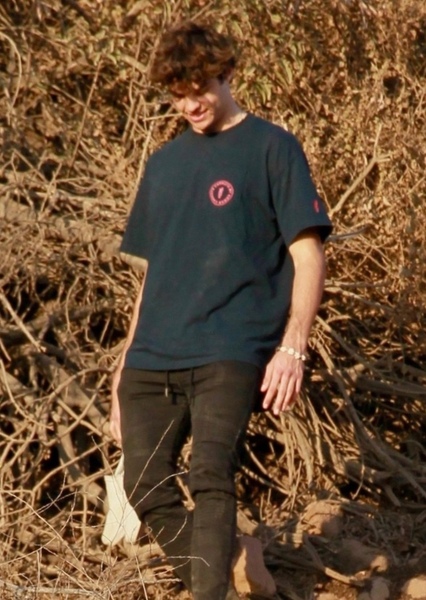 Noah Centineo photo
