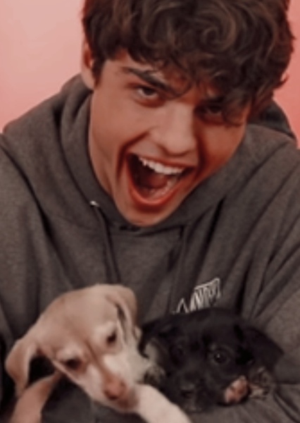 Noah Centineo photo