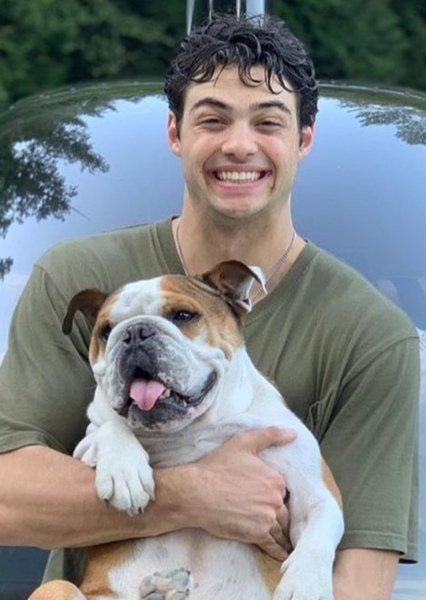 Noah Centineo photo