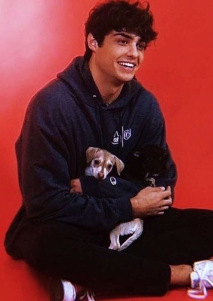 Noah Centineo photo