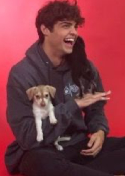 Noah Centineo photo