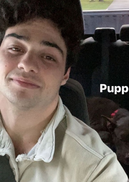 Noah Centineo photo