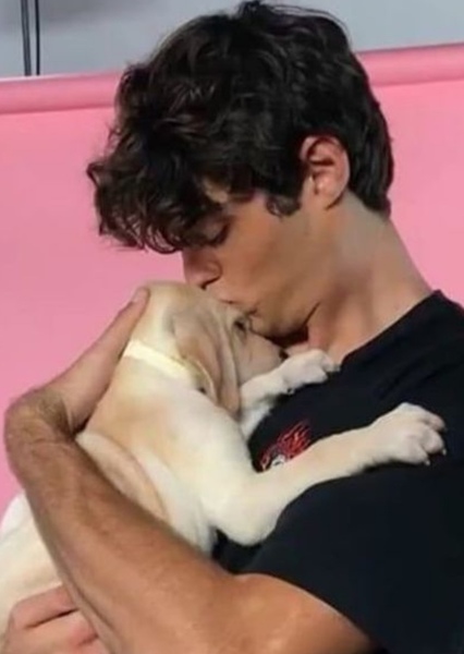 Noah Centineo photo